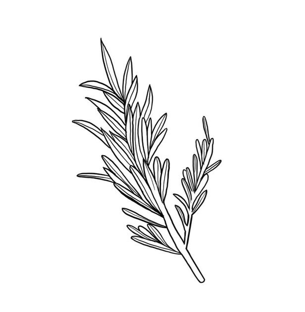 Spirit of Rosemary - Tattoo