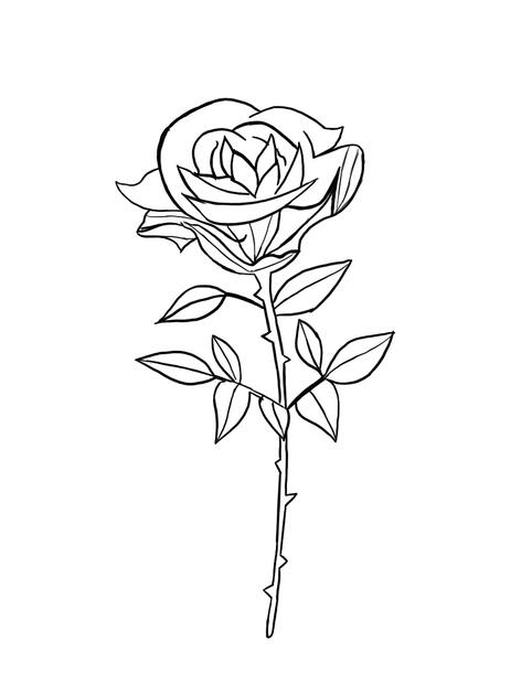 Rose Tattoo Design